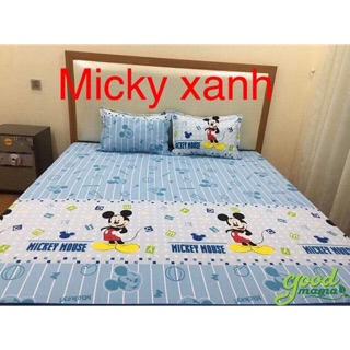 Ga chống thấm cotton
