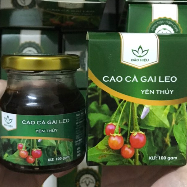 caocagaileo.vn