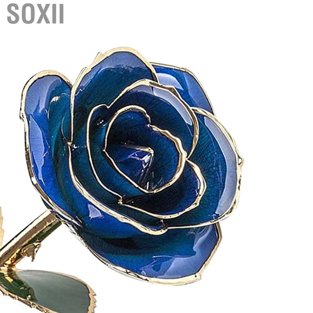 Soxii Real Dipped Blue Rose with Bracket Flower Decoration 24K Gold Plated Green Leaf Gift for Birthday Valentine's Day