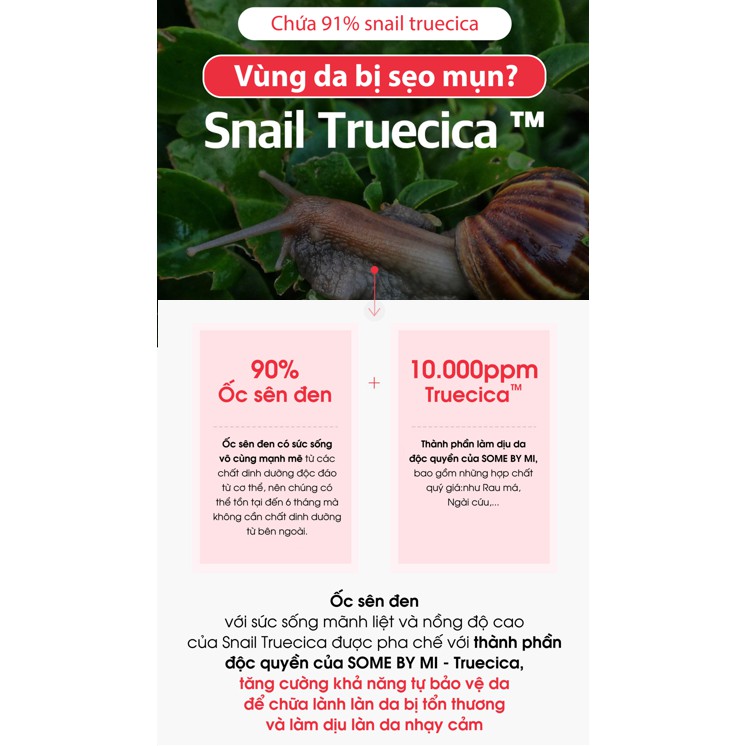 Nước hoa hồng Some By Mi Snail Truecica Miracle Repair Toner | BigBuy360 - bigbuy360.vn