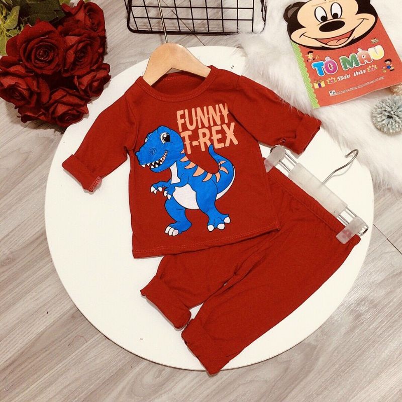 Bộ dài tay cotton bé trai 9-19kg