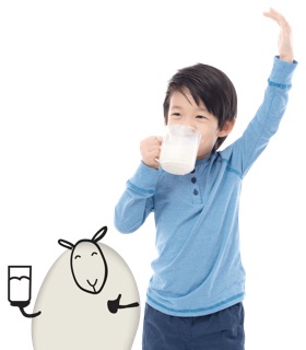 Sữa cừu Spring Sheep 700g