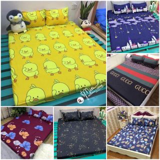 bộ chăn ga gối HAUSUKO cotton poly ( chat chọn  mẫu)