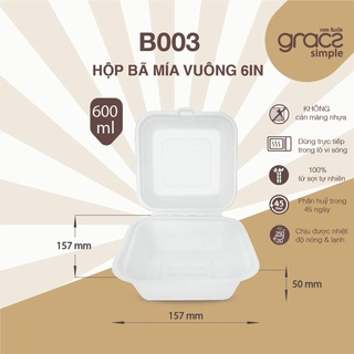 Hộp vuông bã mía