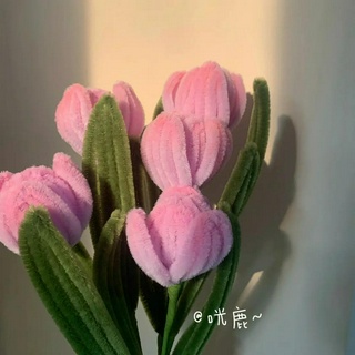 Hoa tulip kẽm nhung màu pastel, kẽm nhung