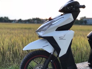 Tem Cánh chim honda
