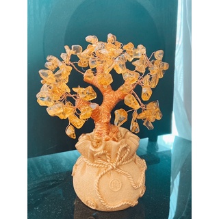 Cây Tài Lộc