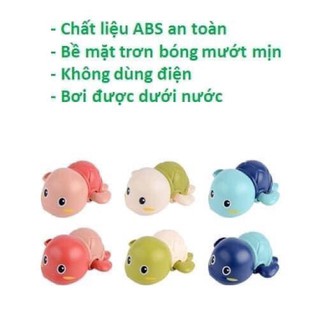 rùa, cá heo bơi dưới nước