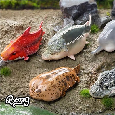Hành tinh động vật Spot Series "Kho báu của Trung Quốc" Cá sấu / carmine / cá tầm Da Shi của Trung Quốc