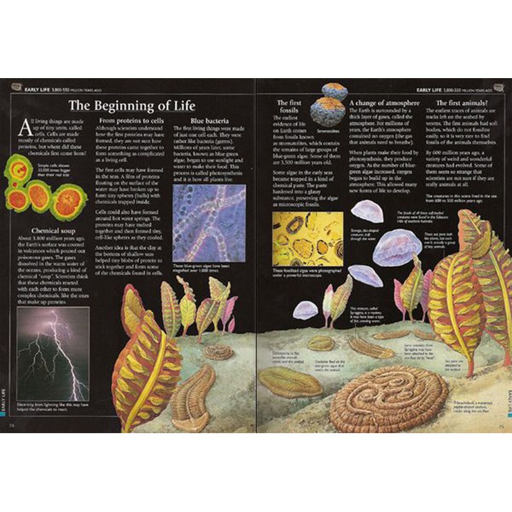 Sách - Anh: The Usborne Encyclopedia of World History