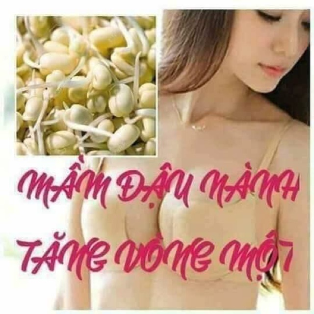 1 hộp 0,5kg tinh chất mầm đậu nành nguyên sơ nguyên chất thơm ngon