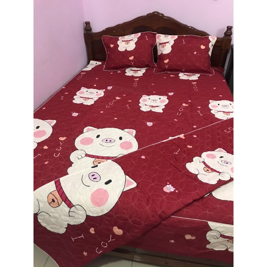 [BÁN RẺ LẤY TƯƠNG TÁC] Bộ Ga Gối Trần Bông Dày Dặn, Xẻ Góc ( Ga Chùm, Ga Phủ Xuống Giường Như Ảnh)