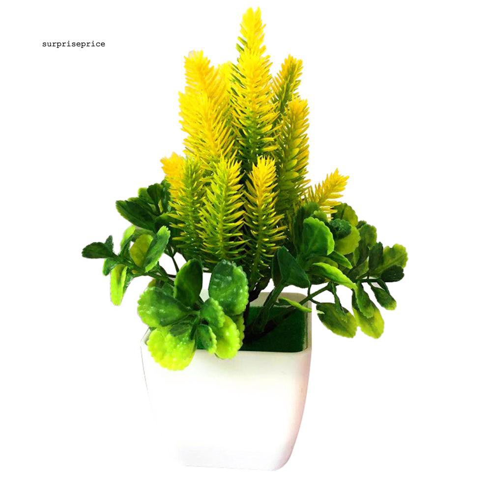 Chậu cây bonsai giả trang trí đa năng