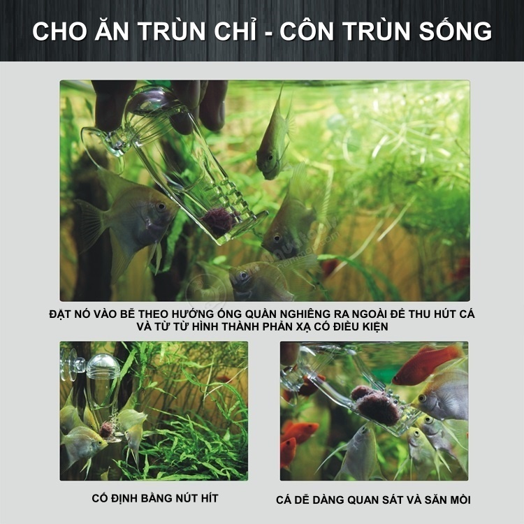 Phễu Acrylic Đa Năng Hình Ống Quần | Cho Cá Ăn Trùn Chỉ, Actermia, Bobo - Bẫy Sán - Bẫy Ốc Hại