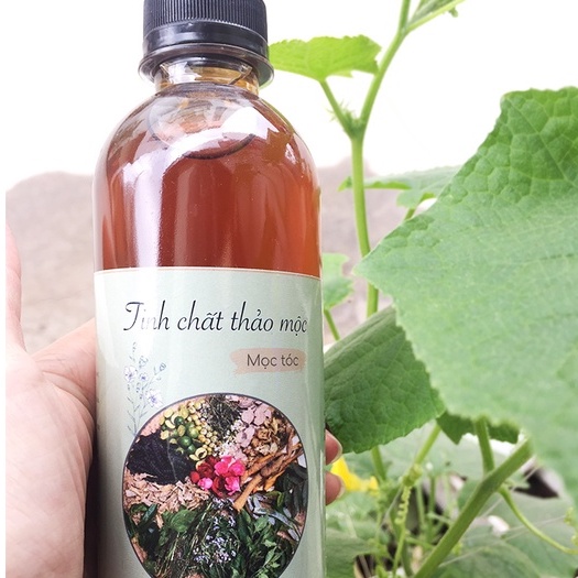 Combo 10 Sản Phẩm Ở Cữ Sau Sinh Cơ Bản Cho Mẹ