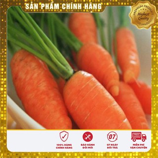 Hạt Giống Cà Rốt Nhật F1(100 hạt)