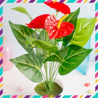 Cây nhựa nhân tạo - Tiểu Hồng Môn đỏ size nhỏ 3 bông hoa nhụy vàng  - Hoa giả