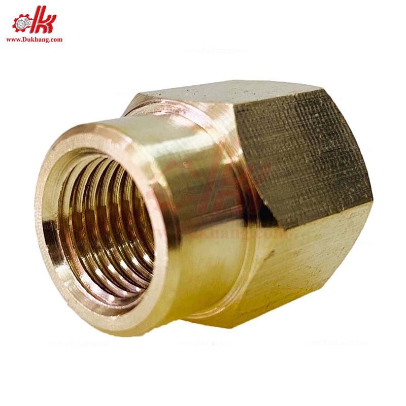 Nối ren máy bơm đôi