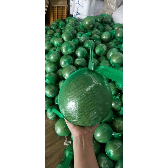 1kg Túi lưới nhựa màu xanh đủ size đựng trái cây, hành tỏi, phân bón…