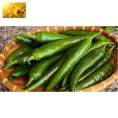 Hạt Giống Ớt Xanh Hàn Quốc  - Ngọt, Cay Nhẹ,Thơm Ngon, Năng Suất - MUA 3 TẶNG 1 CÙNG LOẠI