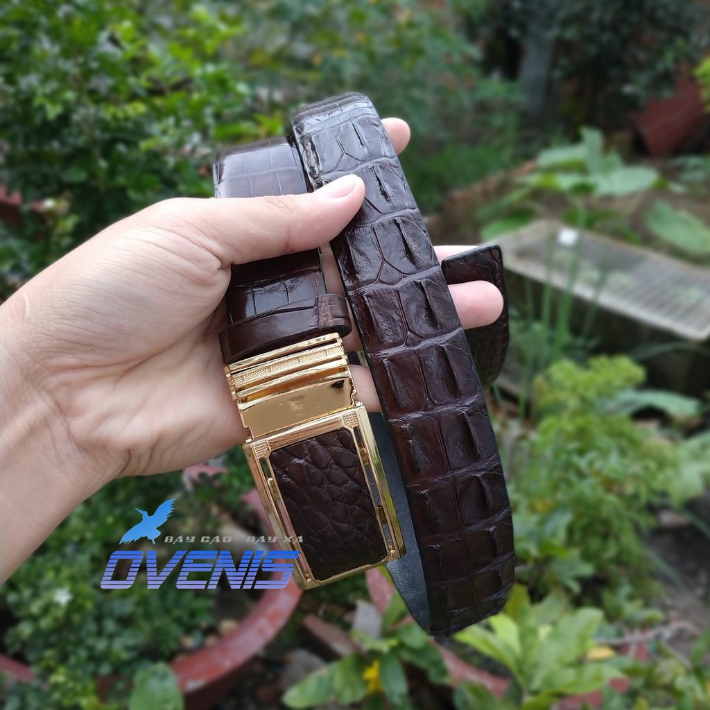 Thắt Lưng Nam Da Cá Sấu. Gai Lưng Rất Đẹp!