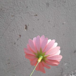 100GR ĐÀI NHỰA LÀM HOA