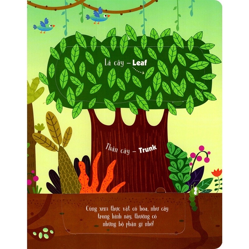 Sách - Lift-The-Flap-Lật Mở Khám Phá - First 100 Plants - 100 Từ Đầu Tiên Về Thế Giới Thực Vật