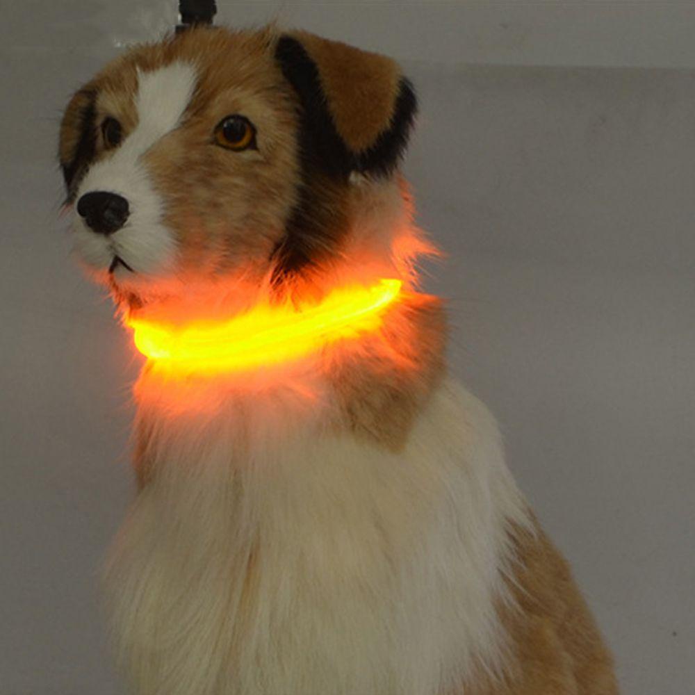 Vòng Cổ Thú Cưng Màu Dạ Quang Có Thể Sạc Lại Bằng Cổng USB