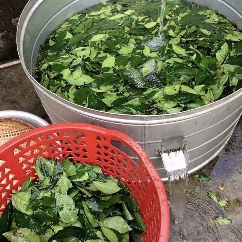 100GR Bột Trà Xanh Nguyên Chất Handmade Bột Trà Xanh Thái Nguyên 100% NobiiShop Đắp Mặt Nạ | BigBuy360 - bigbuy360.vn