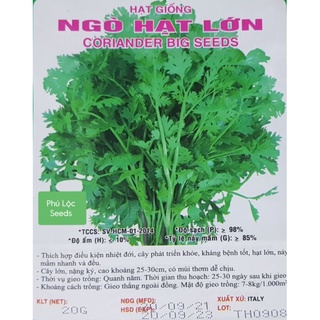 Hạt giống rau ngò 20gr