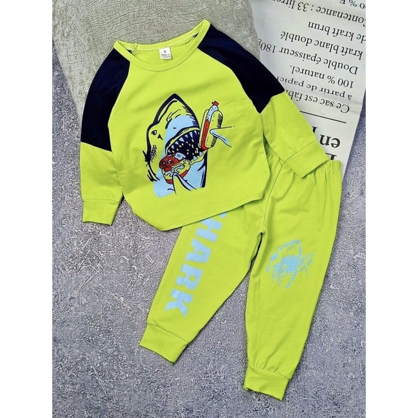 🦖 Bộ cotton dài tay bé trai 8-23kg