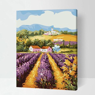 Tranh sơn dầu số hóa tự tô màu theo số có khung - [489] ĐỒNG HOA LAVENDER (40*50)