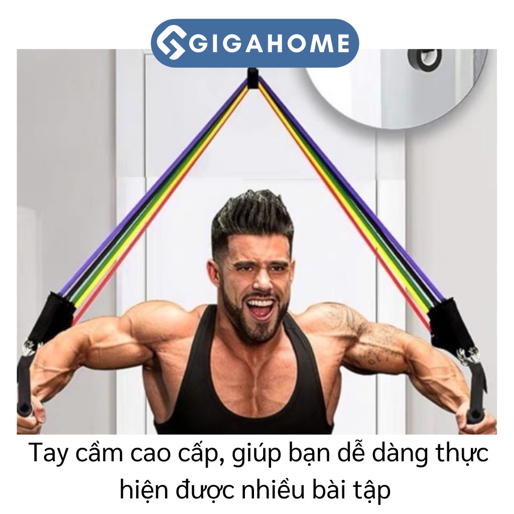 Bộ Dây Ngũ Sắc Tập Full Body, Tập Gym Tại Nhà GIGAHOME Dây Kháng Lực 11 Chi Tiết 6031