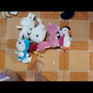Gấu của bạn thư ngân