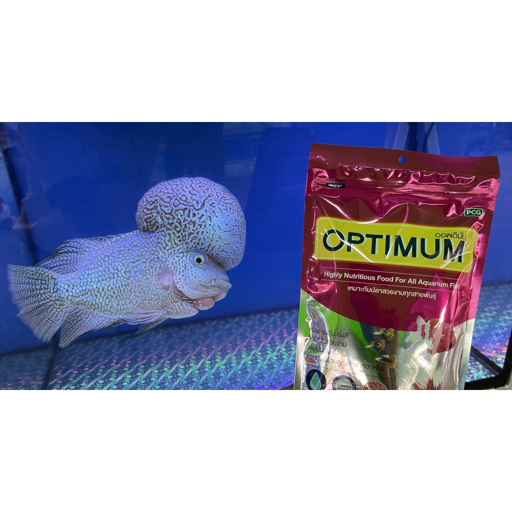 Thức ăn cho cá cảnh- OPTIMUM  - -cho cá vàng, cá ba đuôi, cá kiếm, ông tiên, Betta