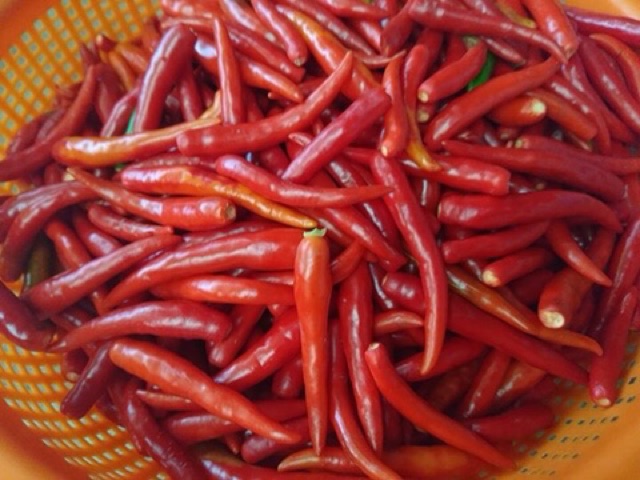 5KG KHÔ GÀ CAY TRUYỀN THỐNG [NGON+SẠCH] HÚT CHÂN KHÔNG ĐẢM BẢO THƯƠNG HIỆU ĐẠT VSATTP | BigBuy360 - bigbuy360.vn