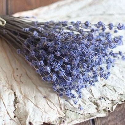 Hoa Lavender Khô RẤT THƠM và NHIỀU NỤ