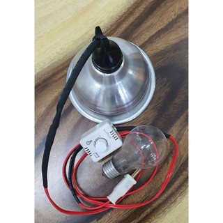 Đèn sưởi cho sóc con, vẹt con, gà con...