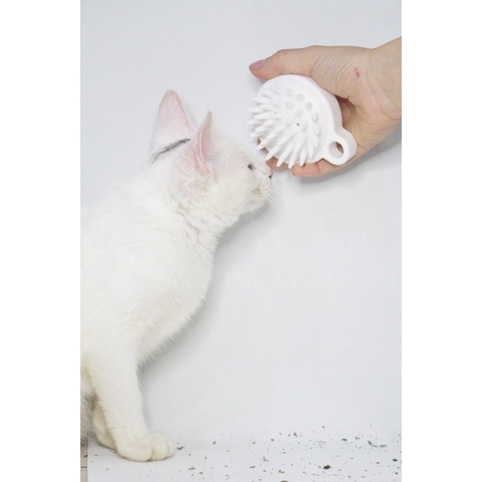 (B001) Lược Mát Xa Cho Thú Cưng Tạo Cảm Giác An Toàn royalpet