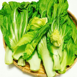 10gram HẠT GIỐNG CẢI BẸ DƯA