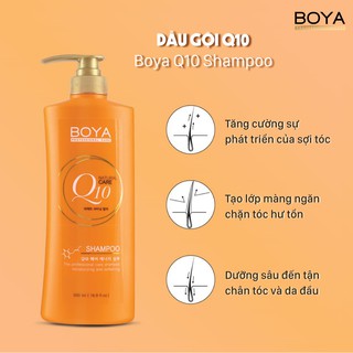 Dầu gội Q10 Boya Shampoo 500ml