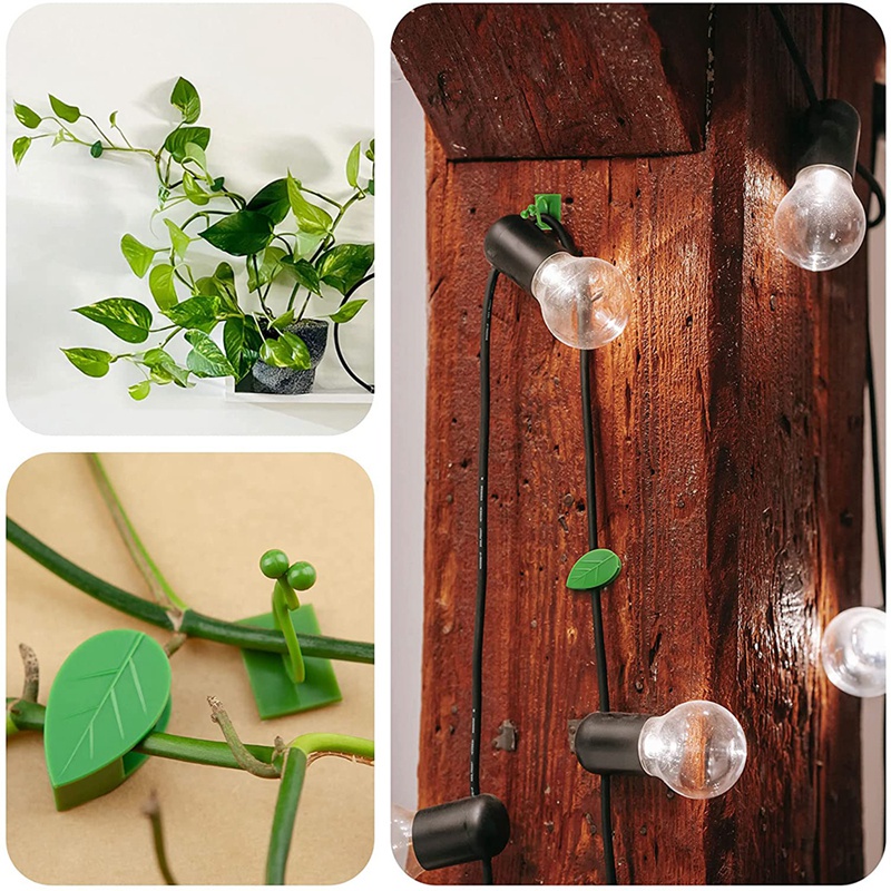 Set 80 Kẹp Cố Định Cây Dây Leo Gắn Tường Trang Trí Nội Thất