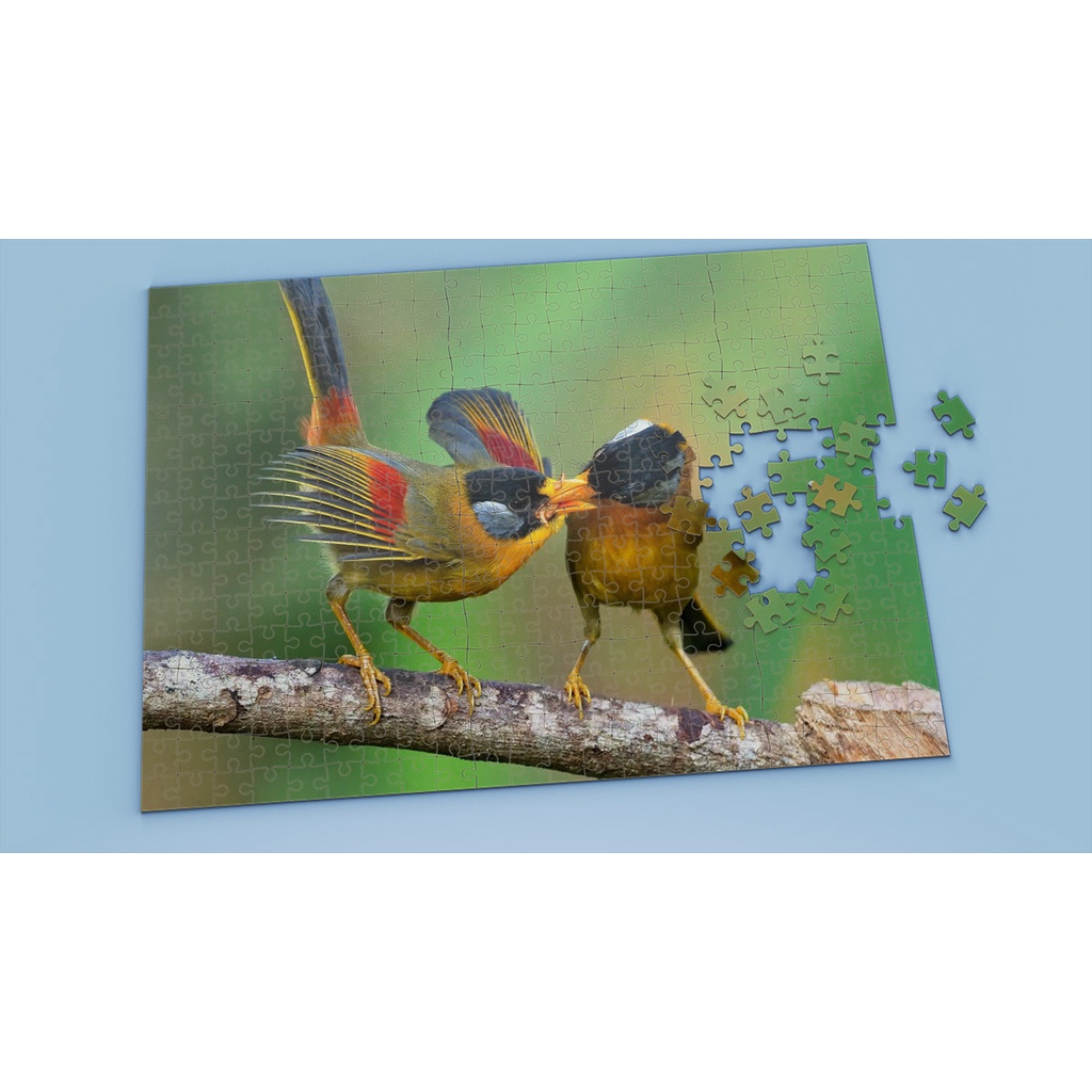 Tranh ghép hình Animal - Tranh ghép hình BIRD - Mẫu 2 - Nhận in hình tranh ghép theo yêu cầu