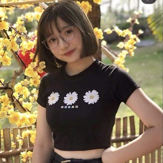 Áo Thun Croptop Hình 3 Hoa Cúc Trắng Xinh Xắn EVA AO 10150