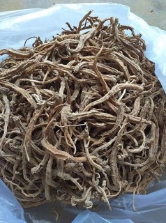 🍃🍁0,5ky Sâm dây Ngọc linh khô🌿🍁
