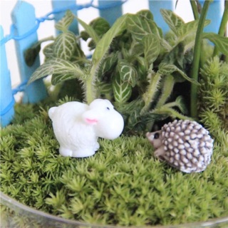 Phụ kiện chậu kiểng (con cừu , gấu teddy)
