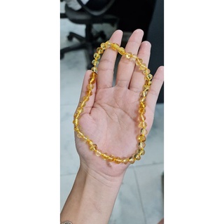 bộ vòng hổ phách amber cho bé