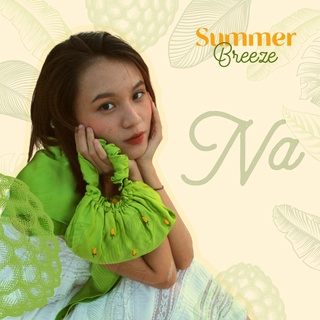 TÚI LỤA TƠ TẰM Na