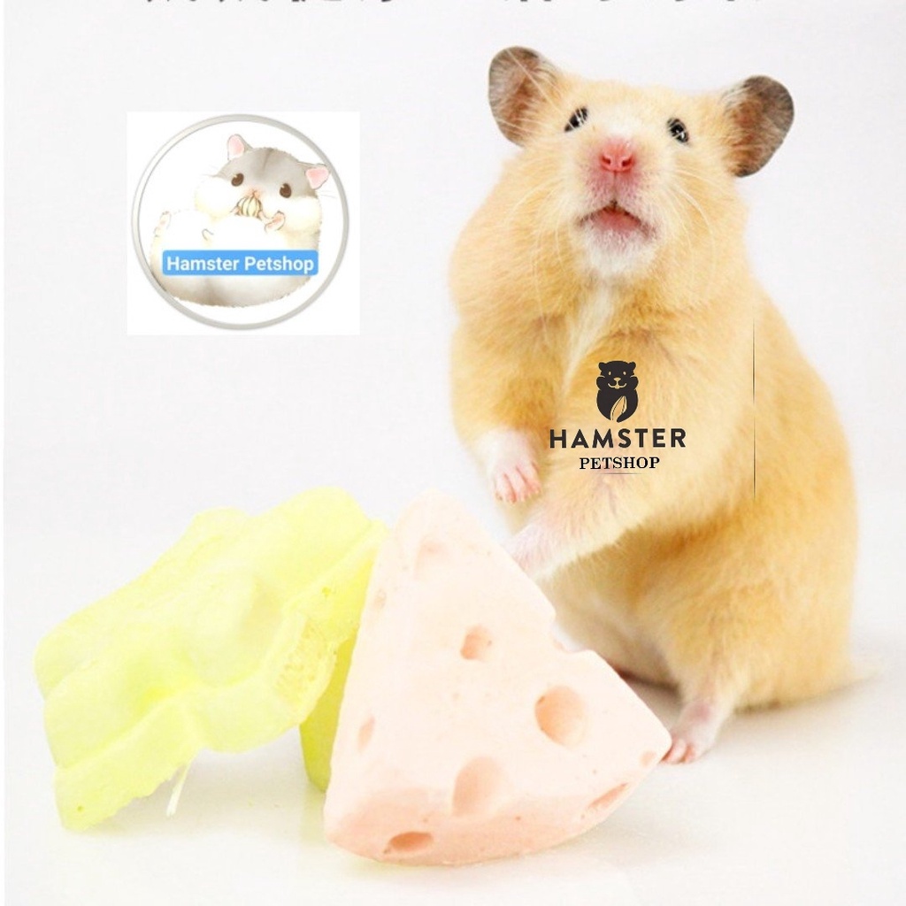 Đá mài răng trái cây cho Hamster , sóc , bọ