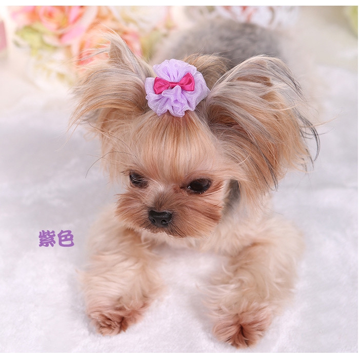 Kẹp Nơ Dễ Thương Thời Trang Cho Thú Cưng